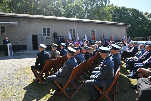 Sztutthof 6