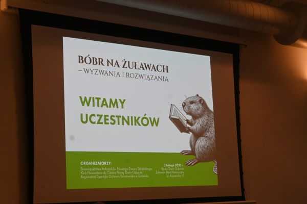 BobrNaZulawach