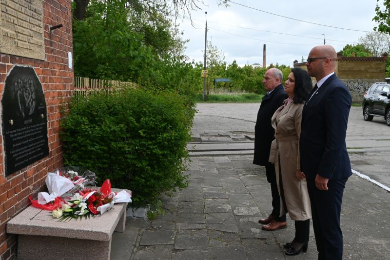 Obchody Rocznicy Zakończenia Wojny 12
