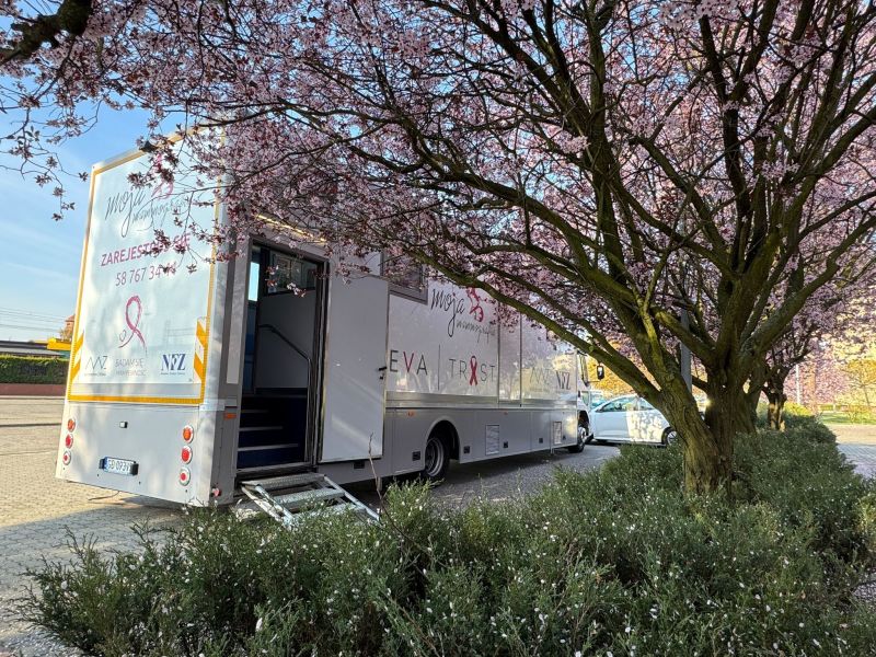 mammobus