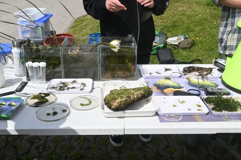 PIKNIK BIORÓŻNORODNOŚCI 2