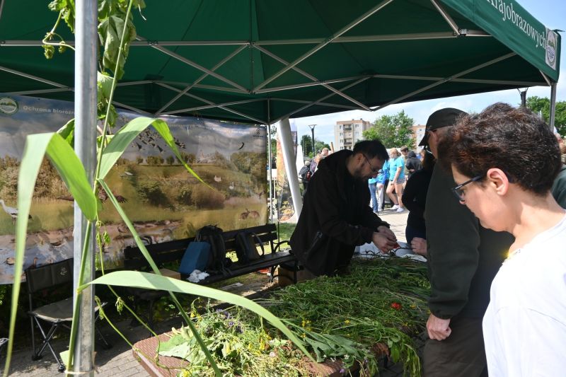 PIKNIK BIORÓŻNORODNOŚCI 7