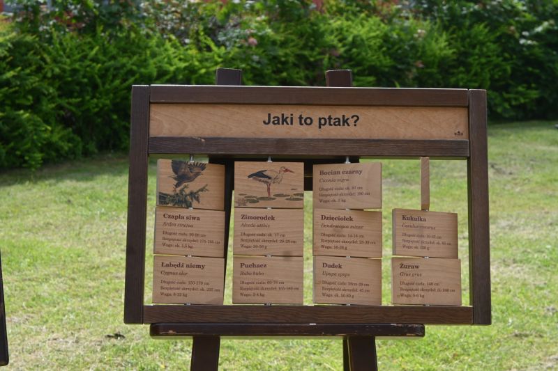 PIKNIK BIORÓŻNORODNOŚCI 11