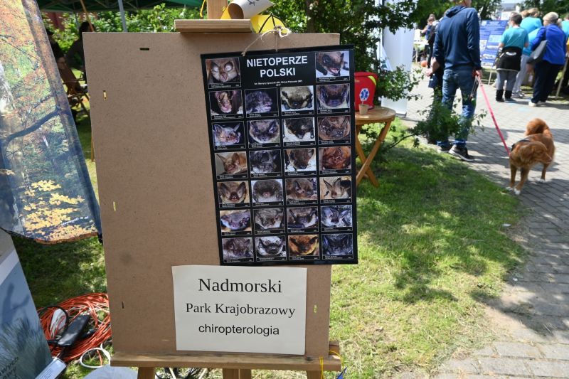 PIKNIK BIORÓŻNORODNOŚCI 13