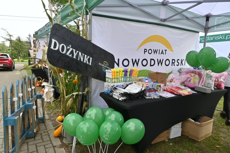 Dozynki 6