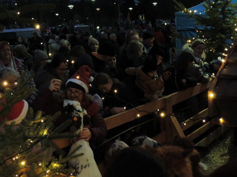 wigilia powiatowa 11