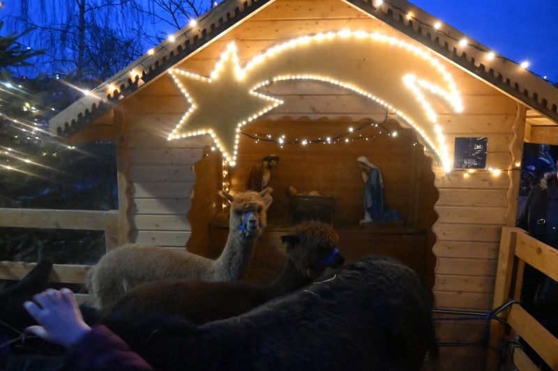 wigilia powiatowa 23