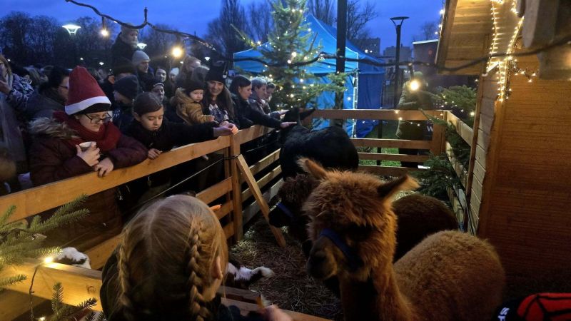 wigilia powiatowa 106