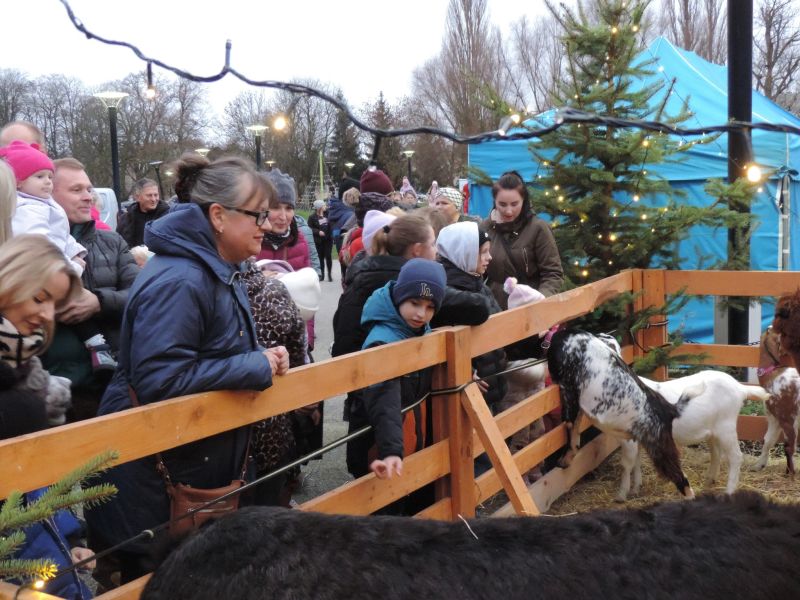 wigilia powiatowa 131