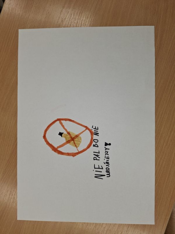 Konferencja prozdrowotna w Kmiecinie 2025 11