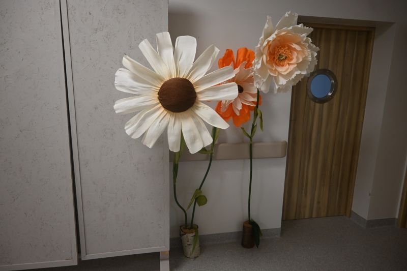 PROJEKT „ŁATWIEJ DO CELU” 2