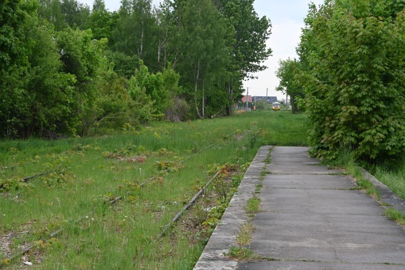 Reaktywacja linii kolejowej nr 256 8